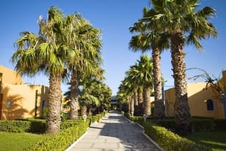 قرية كاريبين العالمية الحمامات — الحمامات — photo 5