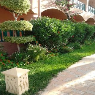 Marabout — Sousse — photo 4