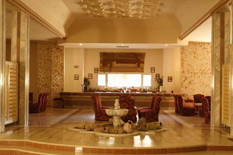 Sun Palm — Douz — photo 3