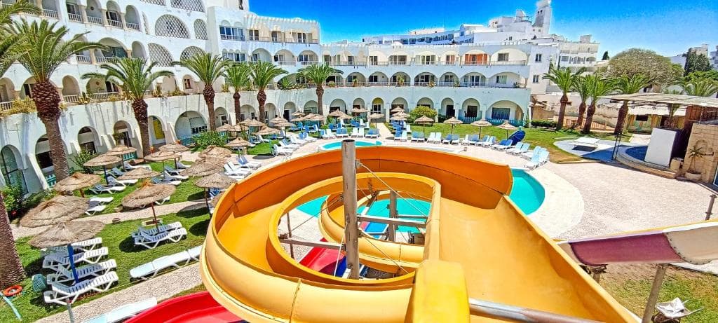 دلفين الحبيب — منستير — photo 4