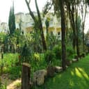 منتجع أفريقيا جاد تالاسو