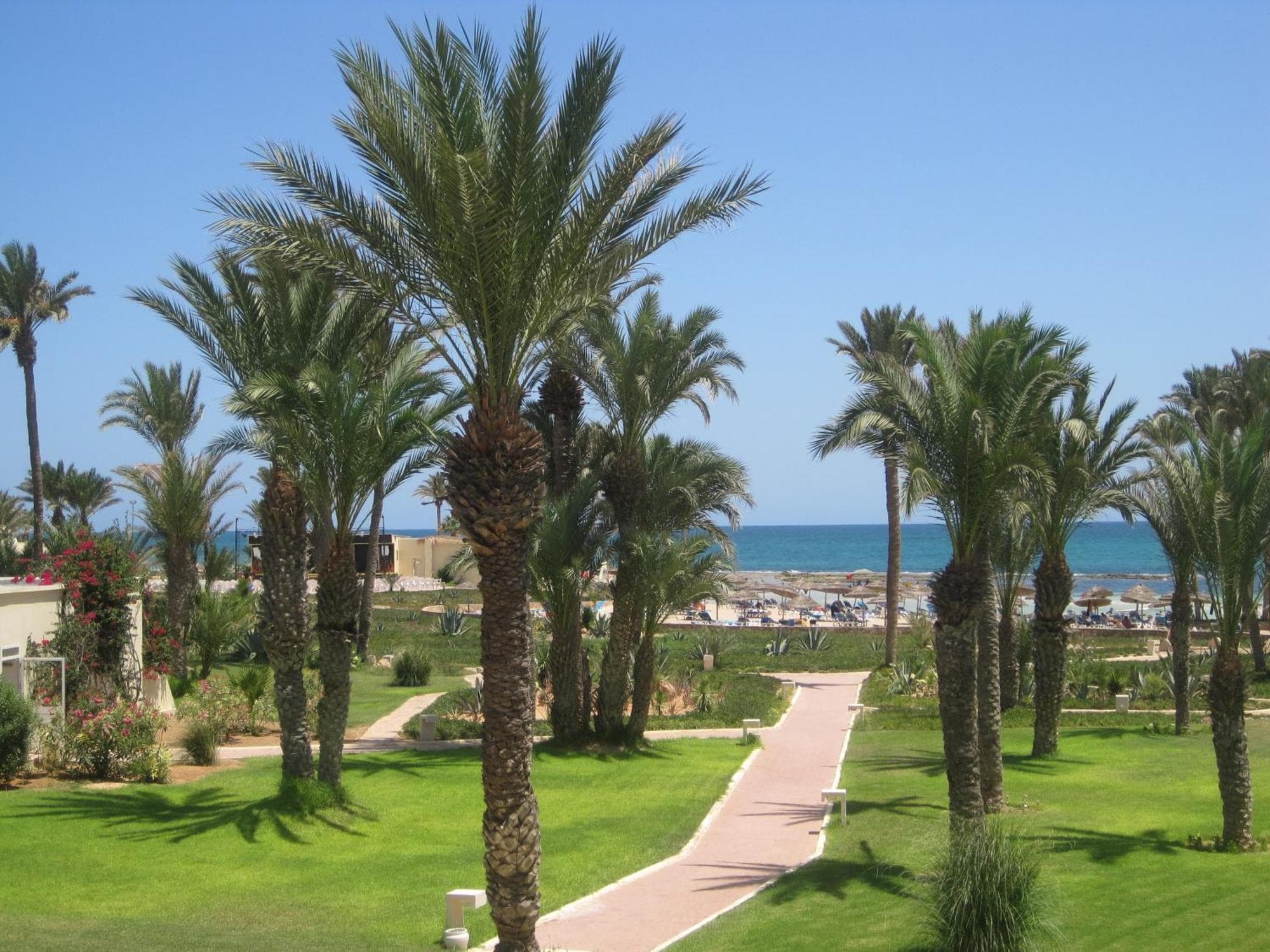 Zephir Hotel & Spa — Zarzis — photo 4