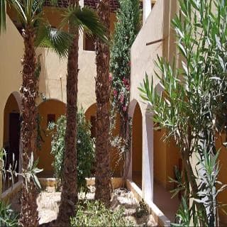 Sun Palm — Douz — photo 4