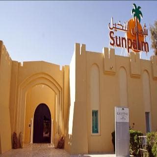 Sun Palm — Douz — photo 3