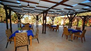 Vincci Safira Palms — Zarzis — photo 2