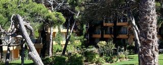 Dar Ismail Tabarka — Tabarka — photo 2