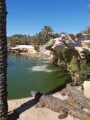 Hotel Mizwar Djerba