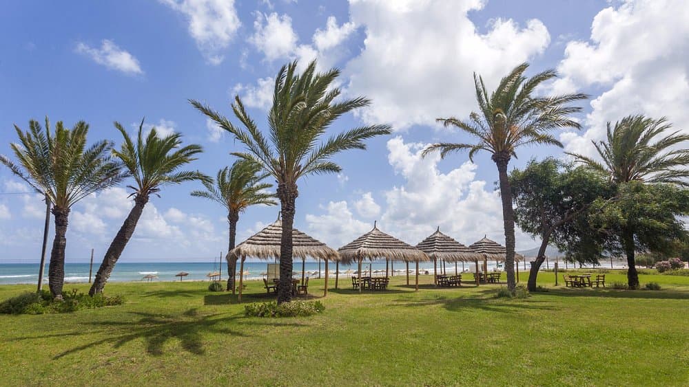 Itropika — Tabarka — photo 4