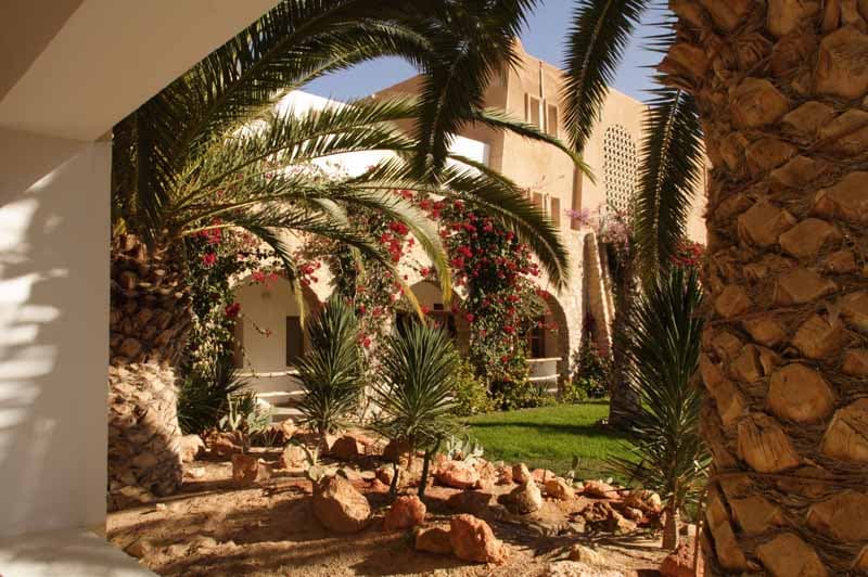 Sun Palm — Douz — photo 5